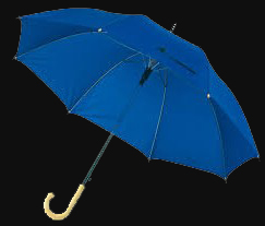 parapluie-bleu-e1466496480387